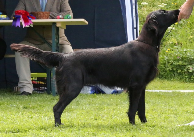 ausstellung-burgdorf