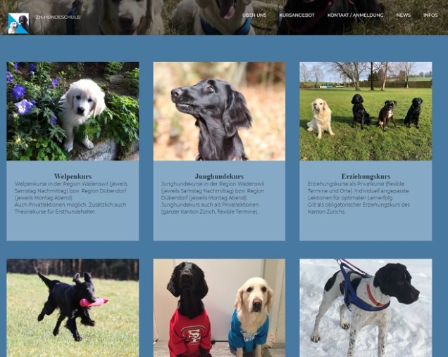 zh-hundeschule website